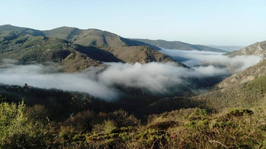 Gîte pour 4 personnes, avec jardin ainsi que vue et piscine à Dourbies - 3
