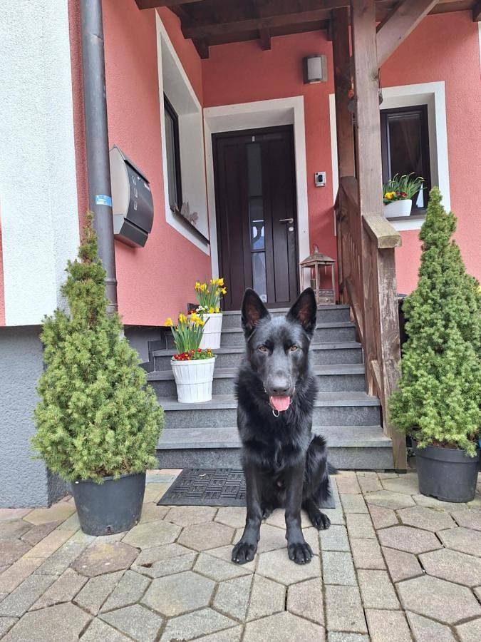 Haus Höll Herta in Hallstatt, Dachstein Salzkammergut