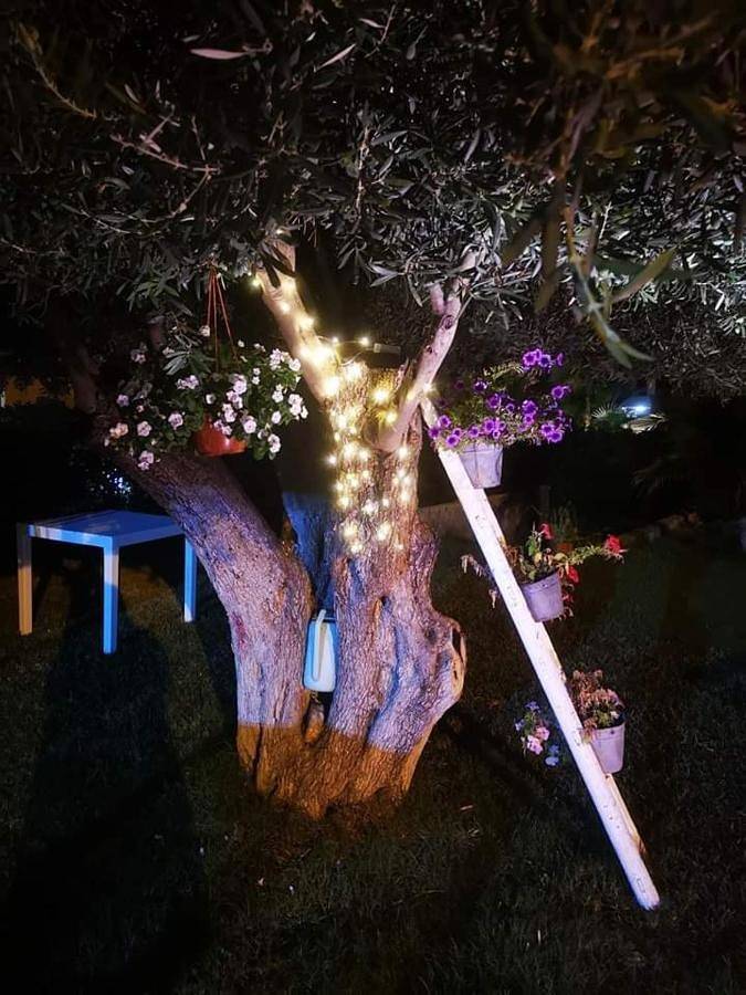 Beb oasi marina in Contrada Pistavecchia, Campofelice di Roccella