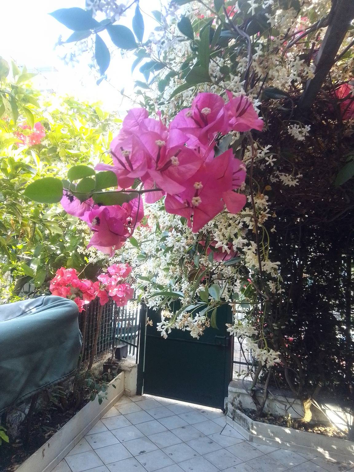 Apartamento entero, Apartamento encantador en Gaeta, 54m², cerca de la playa in Gaeta, Provincia de Latina