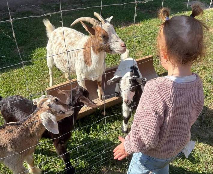 Ferienhaus für 3 Personen, mit Sauna und Garten sowie Terrasse im Münsterland - 4