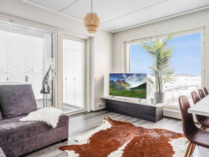 Location de vacances pour 8 personnes, animaux acceptés dans Tampere - 3