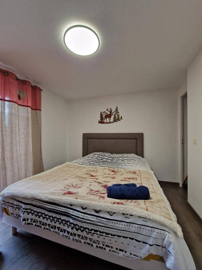 Appartement entier, One-Bedroom Apartment in Vougy, Région de Bonneville