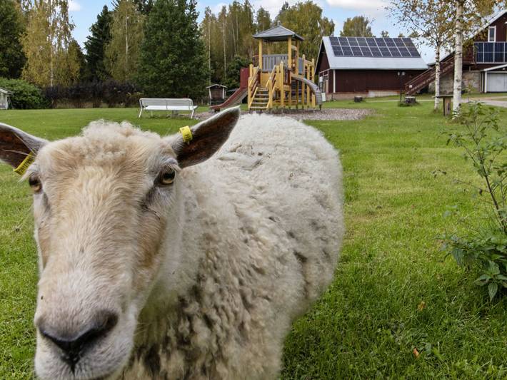 Vidnäs 4 in Heinola, Päijät-Häme