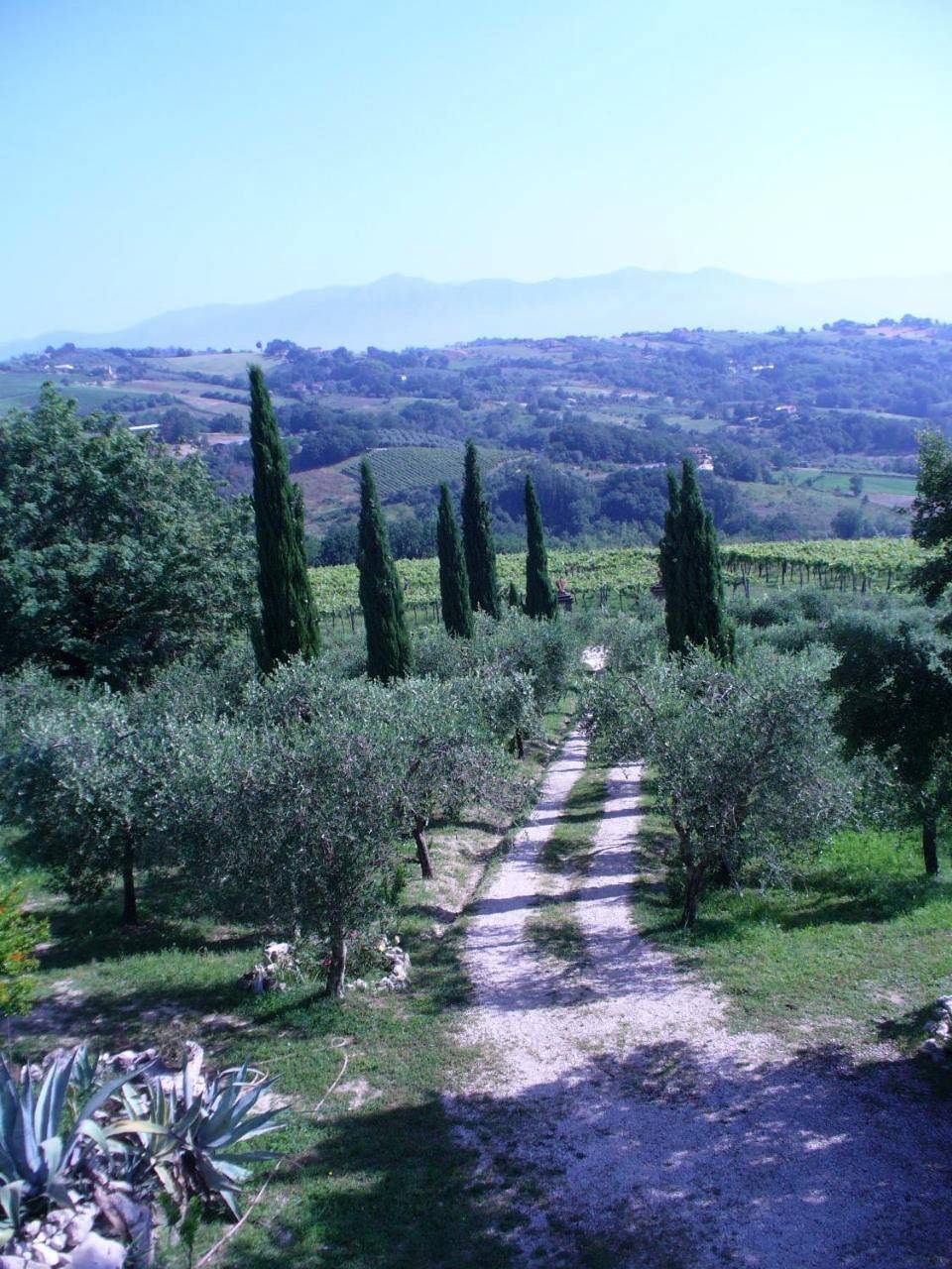 King Room with Mountain View in Castel Campagnano, Provincia di Caserta