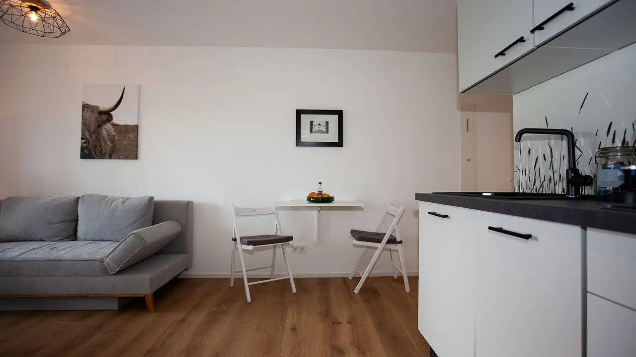 Ganze Ferienwohnung, Ferienwohnung für 2 Personen (39 m²) in Bodman-Ludwigshafen in Bodman-Ludwigshafen, Obersee (Bodensee)