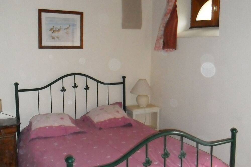 Gîte spacieux en Touraine du Sud idéal pour se retrouver en famille. in Cussay, Région de Loches