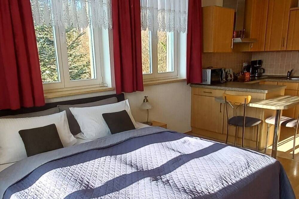 Ganze Wohnung, Apartment mit Balkon und Pkw-Stellplatz in Wilkau-Haßlau, Chemnitz und Umgebung
