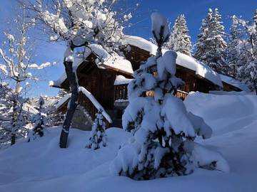 Chalet pour 6 personnes, avec vue et terrasse, animaux acceptés dans Méribel