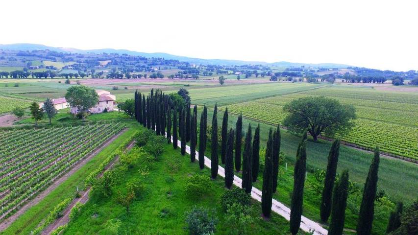 Location de vacances pour 4 personnes, avec vue et jardin, animaux acceptés à Bevagna - 3