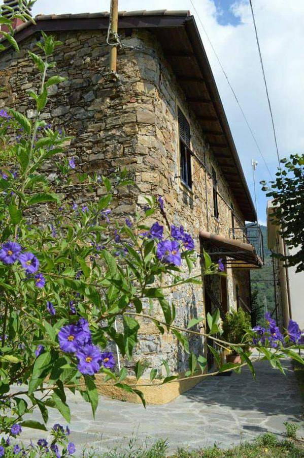 Gîte pour 4 personnes, avec terrasse ainsi que vue et piscine, animaux acceptés à Seborga - 3