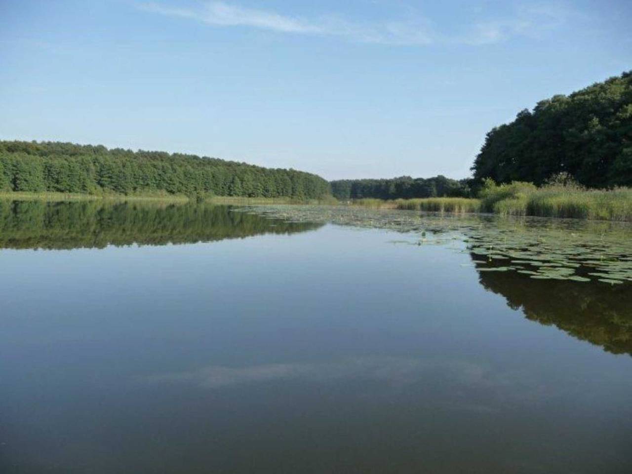Ferienhäuser Auszeit - am Großen Labussee in Userin, Mecklenburg-Strelitz