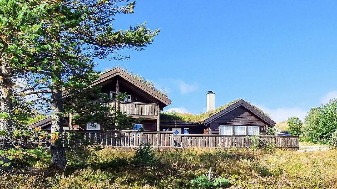 Feriehus for 9 personer med terrasse in Bortelid, Åseral