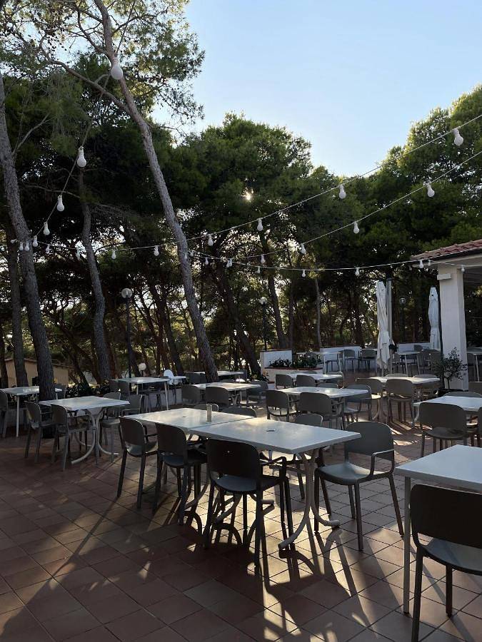 Bungalow Double or Twin Room in Isole Tremiti