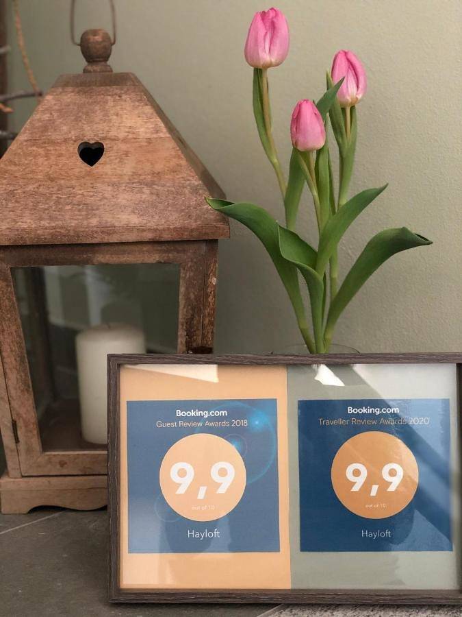 Location de vacances pour 4 personnes, avec jardin et vue, animaux acceptés à Cornaredo - 3