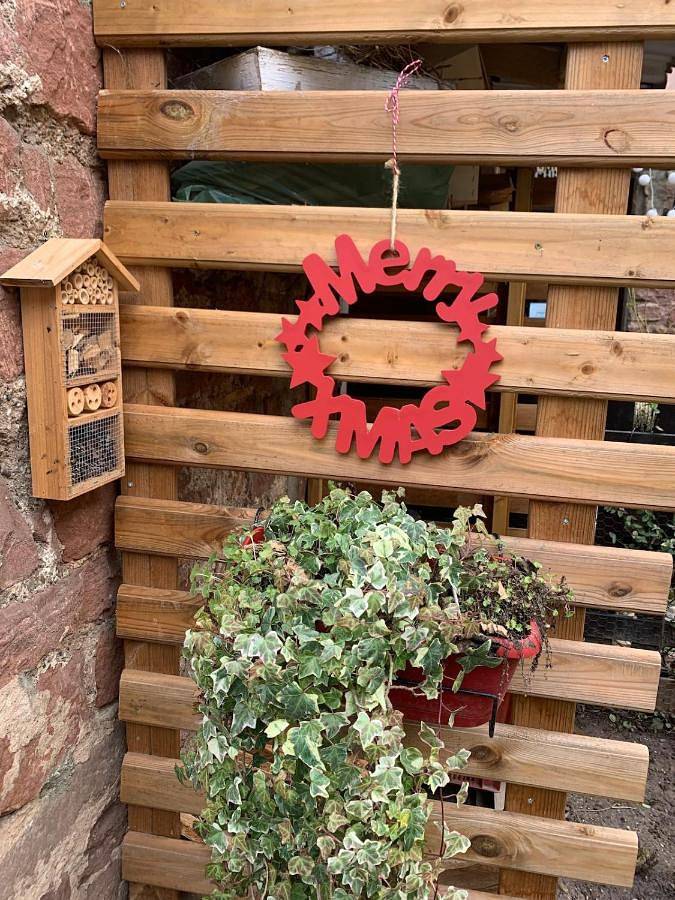 Location de vacances pour 4 personnes, avec vue et terrasse à Schiltigheim - 3