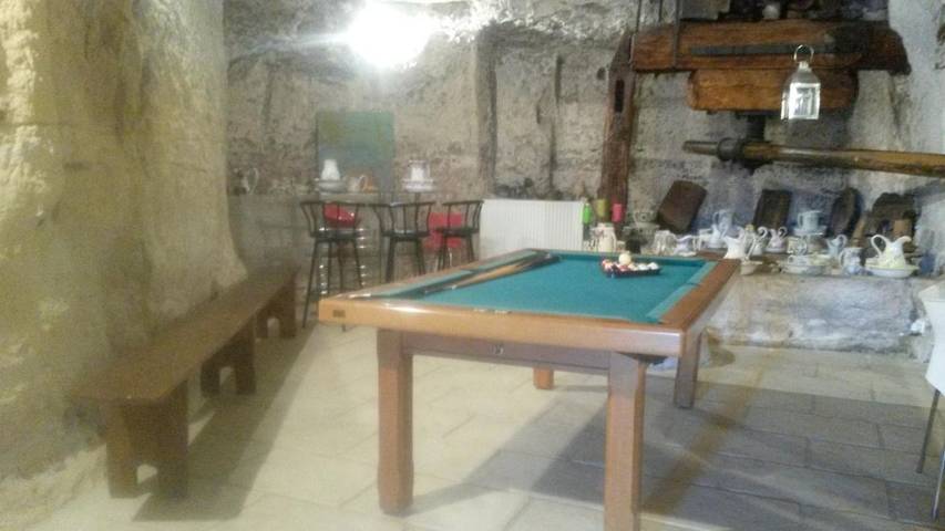 Location de vacances pour 8 personnes, avec vue et terrasse à Pocé-sur-Cisse - 4