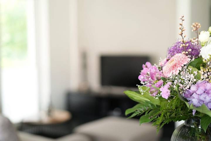 Entire apartment, Hygge Flow-  für bis zu 4 Personen mit Whirlpool  und Sauna - Haustiere herzlich willkommen, Garten umzäunt in Nordhorn, Landkreis Grafschaft Bentheim
