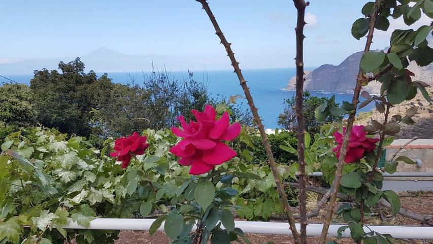 Gîte pour 2 personnes, avec jardin et vue à Agulo - 3