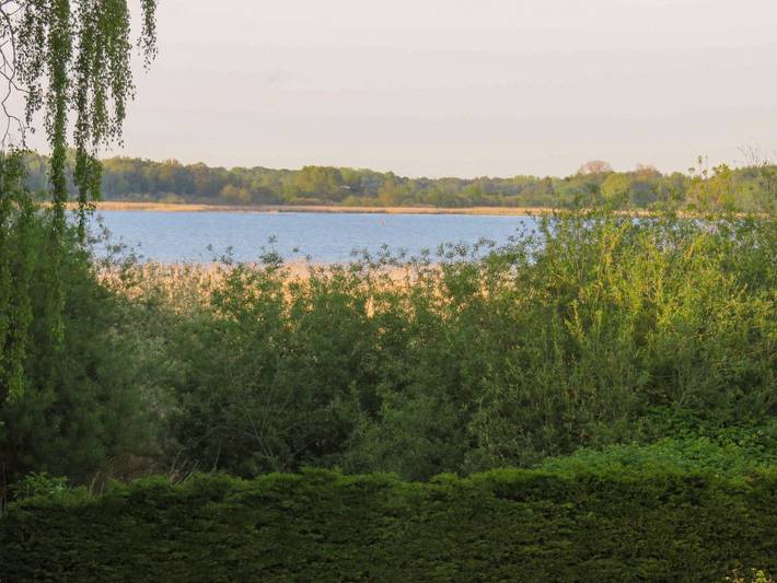 Bungalow Alms in Ribnitz, Ribnitz-Damgarten