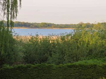 Ferienhaus für 4 Personen in Ribnitz-Damgarten, Fischland - Darß - Zingst, Bild 4