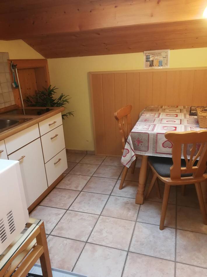 Entire holiday apartment, Apartment, shower and bath, toilet, living room/bedroom in Mittenwald, Bavarian Alps