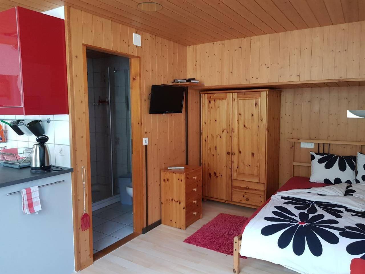 Ganze Wohnung, Studio Kanderbrück in Frutigen, Frutigen - Lenk - Adelboden