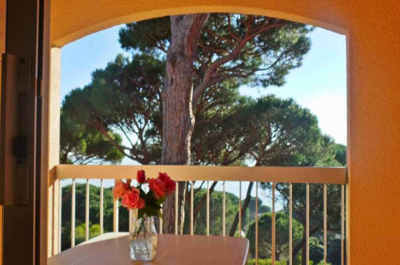 Appartement entier, Pierre et Vacances n° 14 Appartement in La Nartelle, Sainte-Maxime