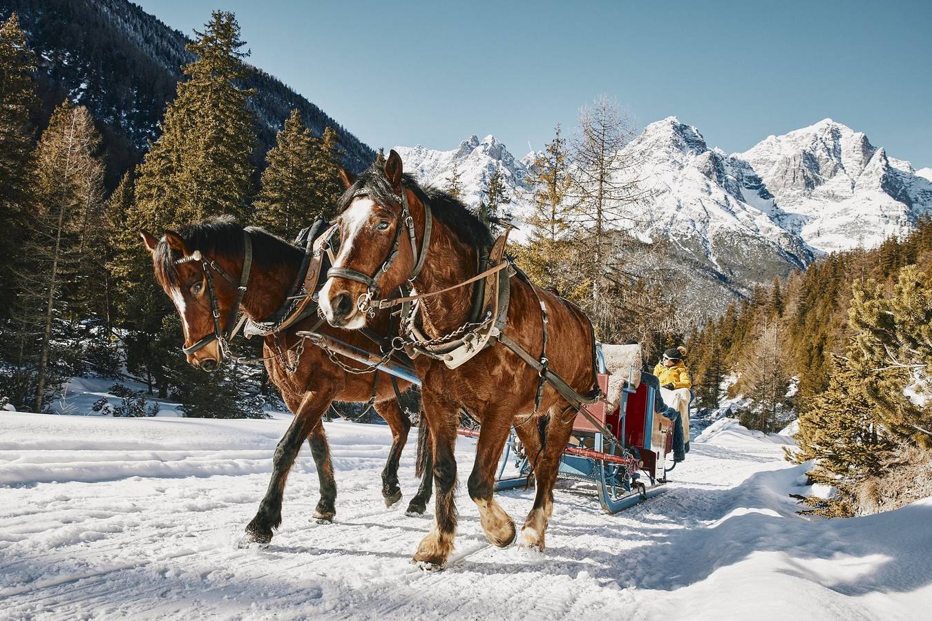 Ganze Ferienwohnung, Hütte Ova Spin il Cuvel - Hütte Ova Spin il Cuvel für max. 6 Personen in Zernez, Unterengadin