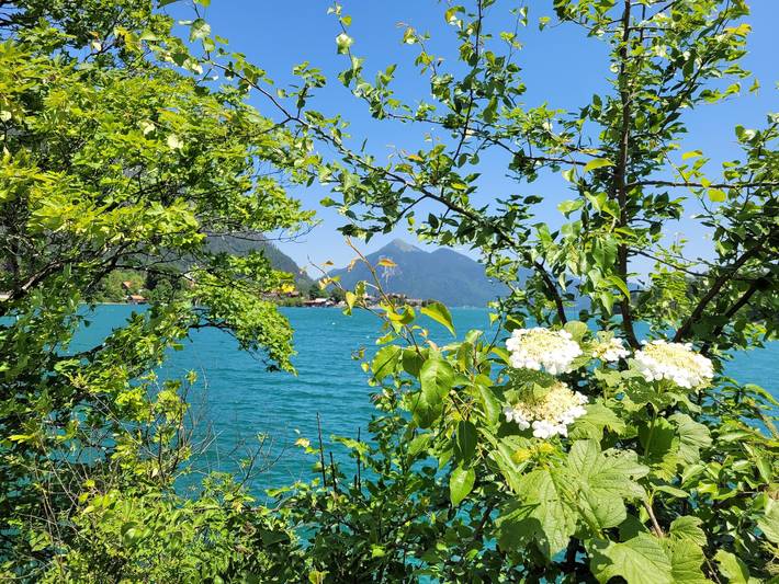 Ferienwohnung für 4 Personen, mit Garten und Sauna sowie Balkon in Oberbayern - 2