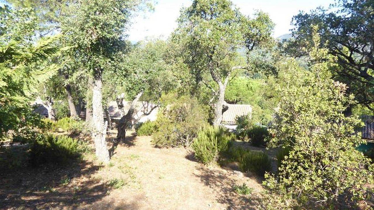 Ferienhaus für 4 Personen (38 m²) in Cogolin in Cogolin, Draguignan region