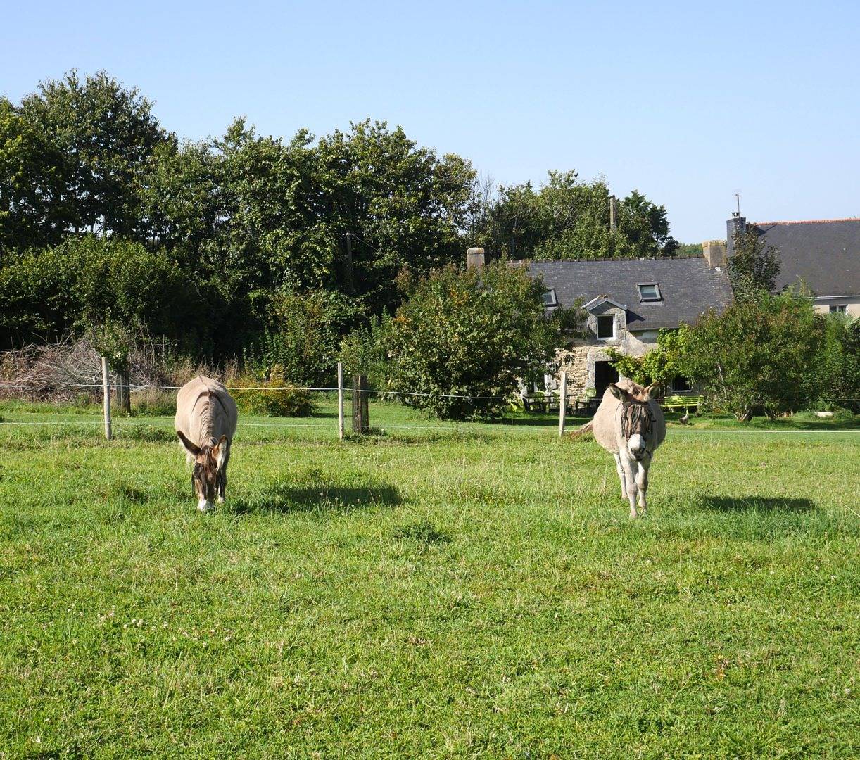 Gîte Le Penn-Ty in Rosporden, Région de Quimper