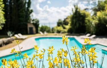 Casa Vacanza per 12 Persone in Passignano sul Trasimeno, Lago Trasimeno, Foto 4