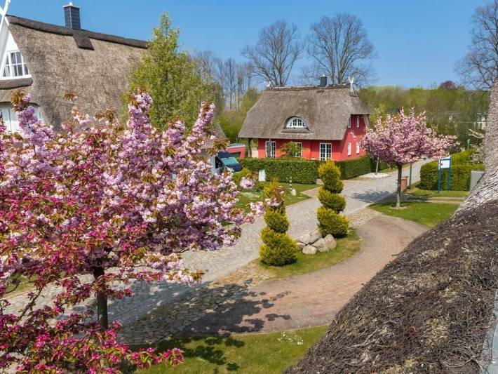 Ferienhaus für 10 Personen, mit Balkon und Terrasse sowie Garten und Pool in Kalkhorst - 3