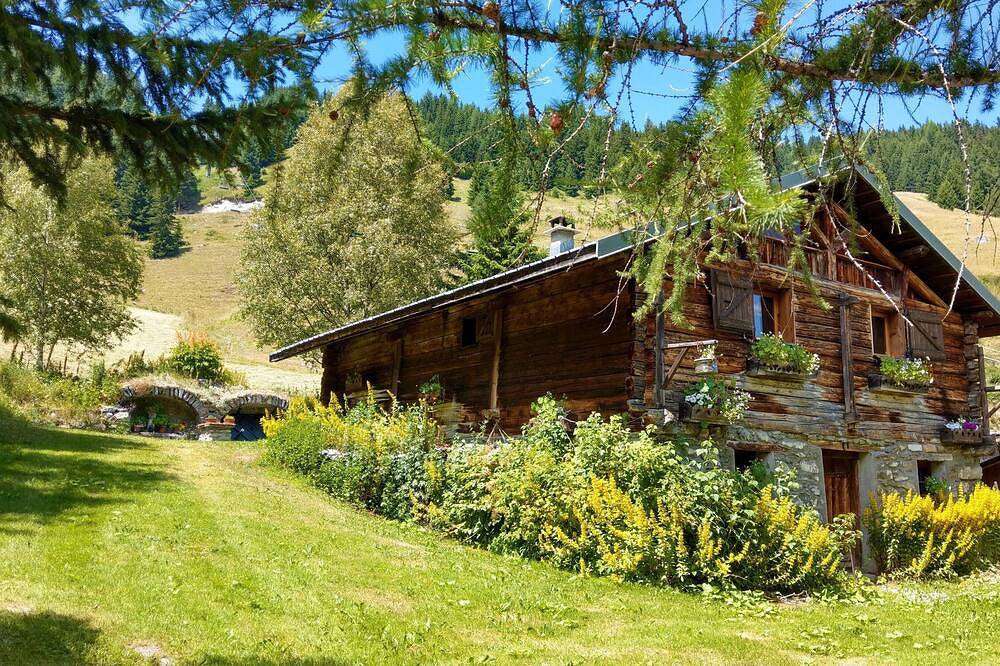 Entire apartment, Studio center resort beautiful view Les Coches La Plagne Paradiski in La Plagne, Bellentre