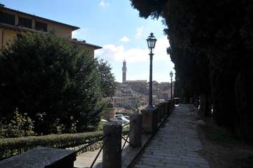 Villa for 2 People in Siena, Siena Province, Photo 4