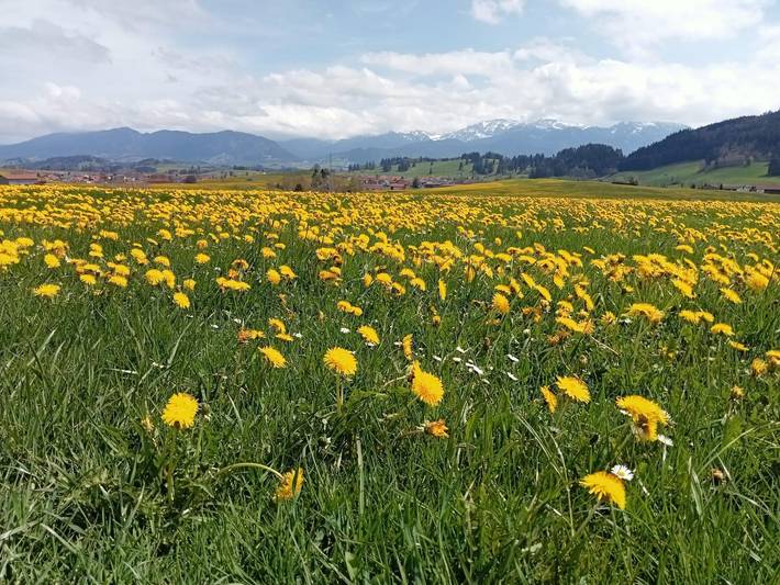 Ferienwohnung für 3 Personen, mit Balkon in Roßhaupten - 2