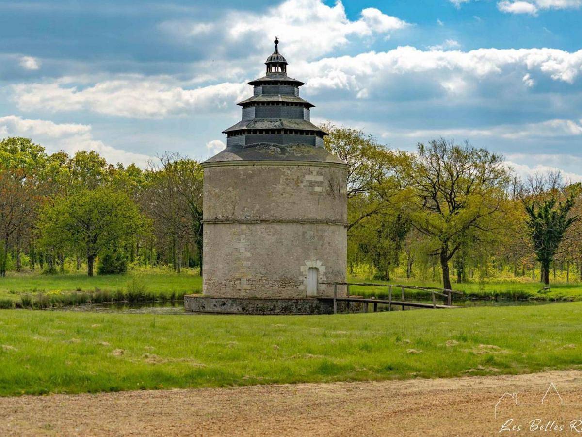 Château Xviiième, Piscine Chauffée, Sauna, Forêt Privée, Proximité Châteaux de la Loire - Fr-1-381-46 in Monnaie, Région de Tours