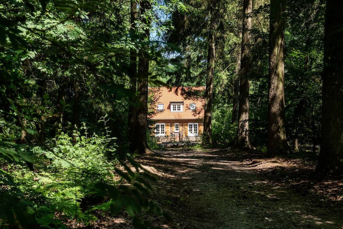 Bl135 Fantastisch familiehuis met grote tuin | Bosrijk in Hoge Veluwe