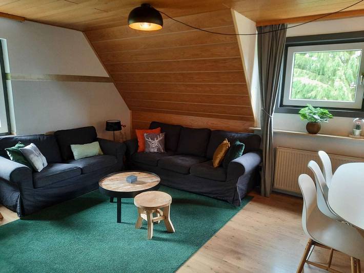 Ganze Wohnung, Ferienwohnung für 8 Personen mit Garten in Willingen, die Mittelgebirge