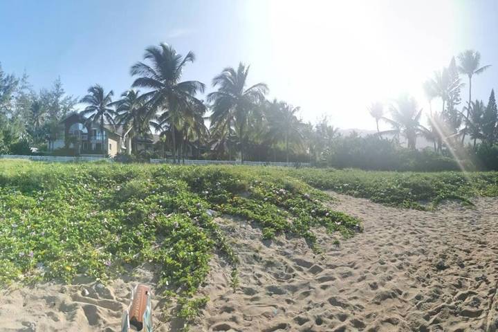 Gîte pour 3 personnes, avec terrasse et jardin dans Plage de la Saline - 4