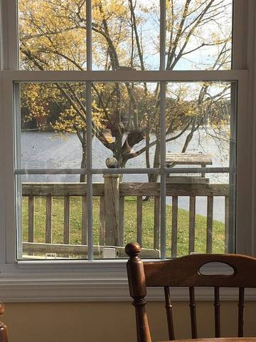 Lake House for 6 Guests in Indiana, USA, Picture 1