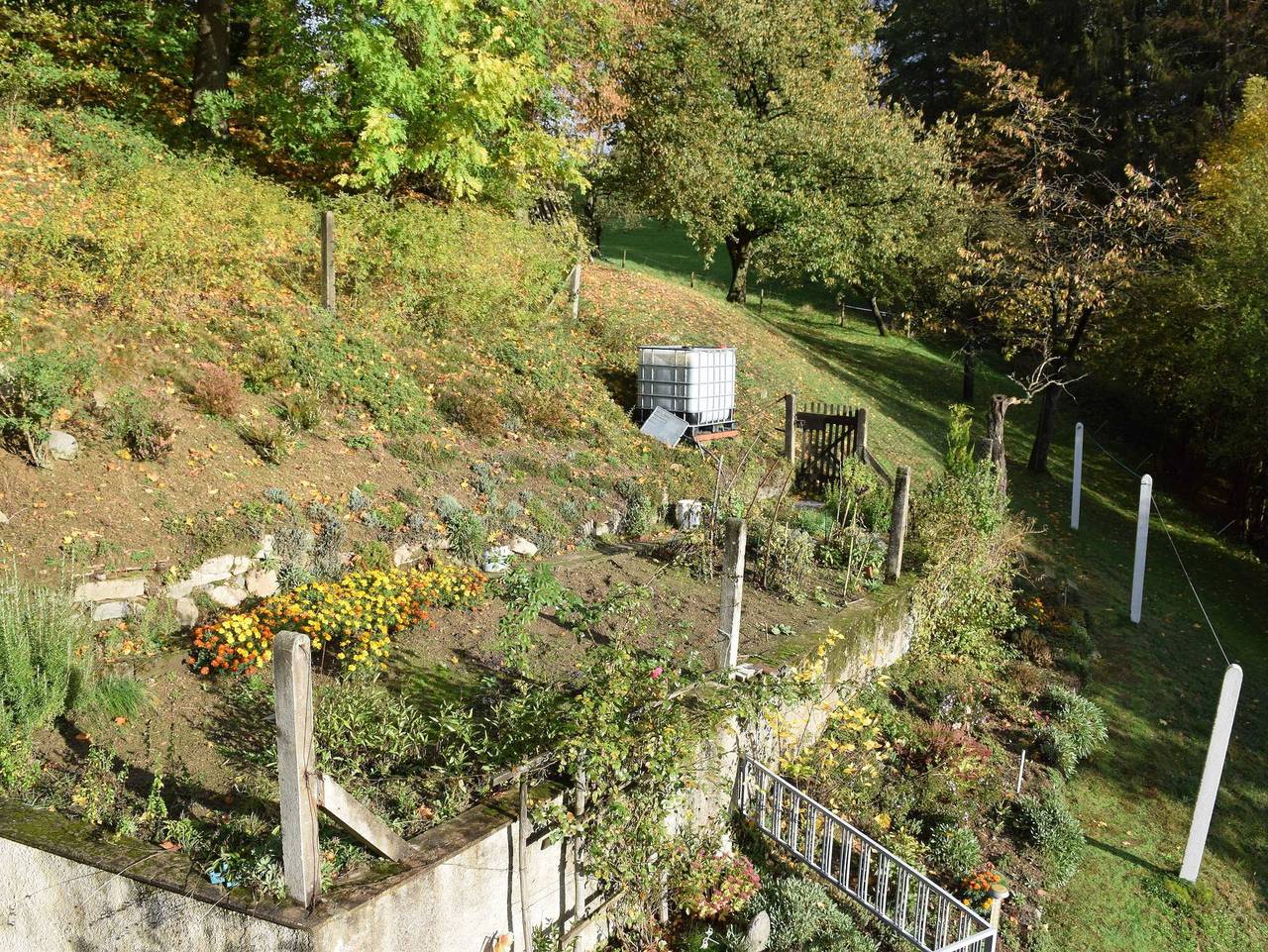 Ferienhaus Modautaler Sonnenhang - Ferienhaus Modautaler Sonnenhang in Modautal, Südhessen