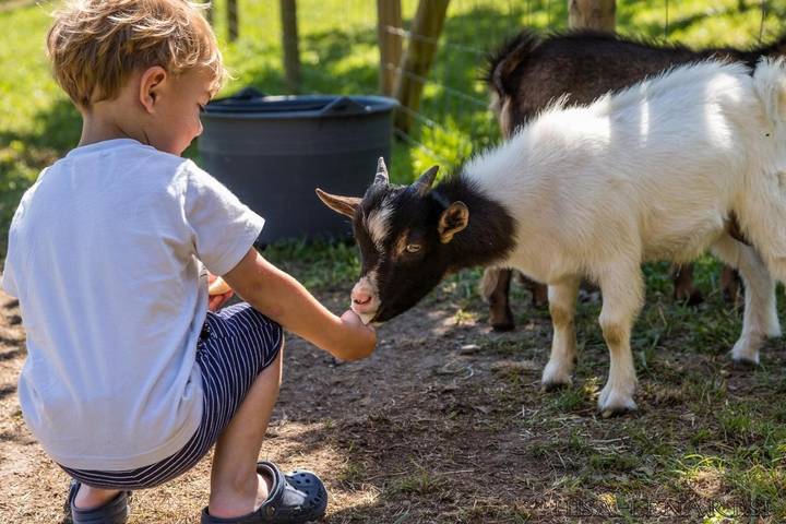 Ferienwohnung für 4 Personen, mit Sauna und Garten sowie Ausblick - 1