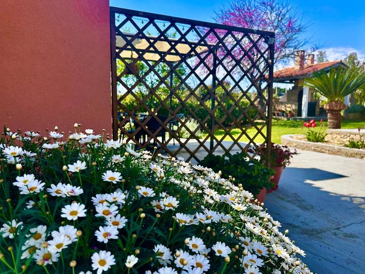 Bungalow dla 4 osób, z Balkon i Taras oraz Ogród w Grecja