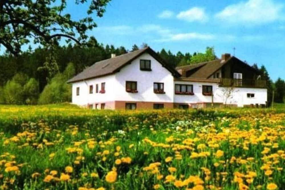 Zimmer 4 - Gasthaus-Pension Zum Brandweiher in Amorbach, Landkreis Miltenberg