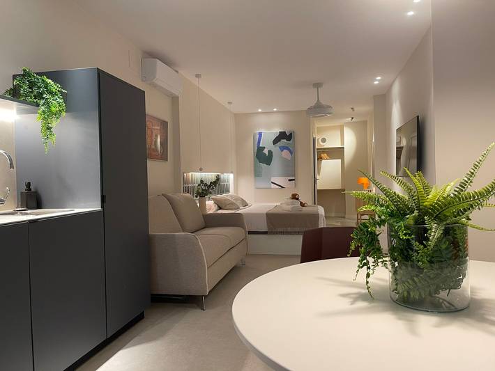 Studio for 4 people, with terrace - 1