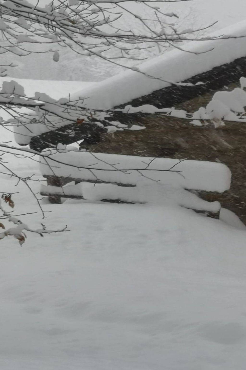 Rustico Raslina in Faido, Lepontinische Alpen