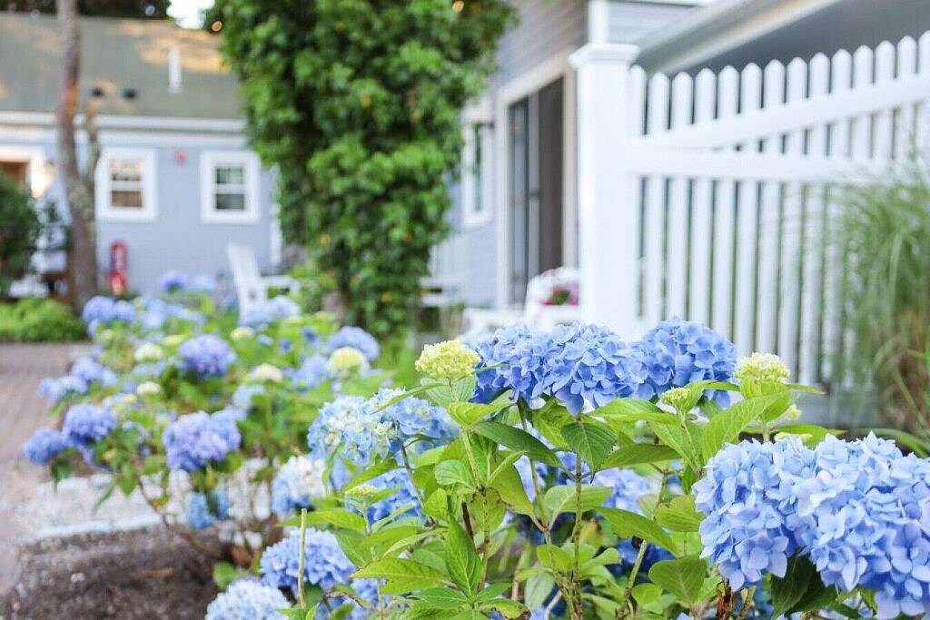 Ganze Wohnung, Paradise Palm Unit - #4 in West Harwich, Harwich