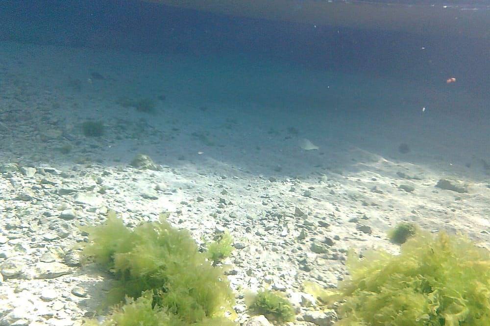 Appartamento intero, Alloggio a 50 mt. dal mare, 5 minuti da Gallipoli e dalle Maldive Salentine in Torre Suda, Racale